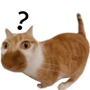 红星赵耀中国头像