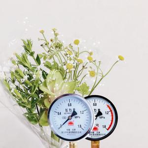 新大华仪表头像