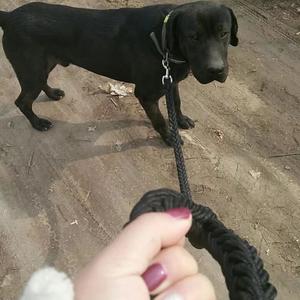 布丁奶油༺💜༻头像