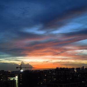 荡失路熊猫🐼🐼头像