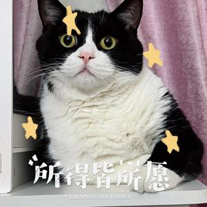 少₇一点₈(⁎⁍̴̛ᴗ⁍̴̛⁎)头像