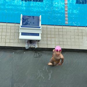 猫猫咪啃西瓜头像