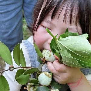 瑶一瑶小朋友🐷头像