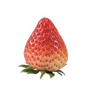 疲惫的白色被子55823头像