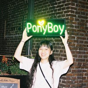 PonyBoy头像