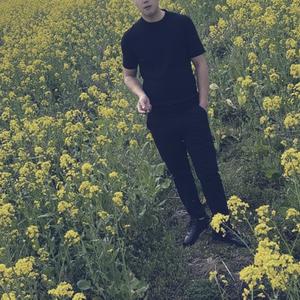 荣童活禽生鲜土货头像