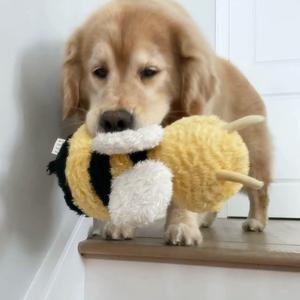 绝情俏寡妇头像