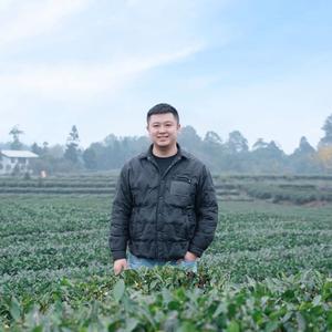 雅安云逸茶厂蒙顶毛峰号头像