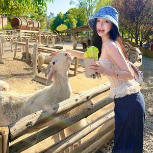 椰椰很哇塞✨头像