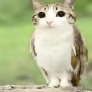 一朵会画画的云☁️头像