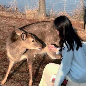 叶志日记📝头像