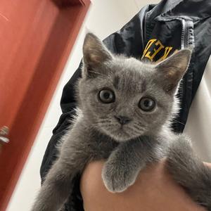 温州彭于宴头像