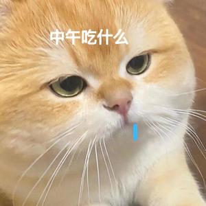 饭吃香香🍚头像