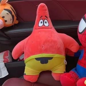 天天睡不不醒头像