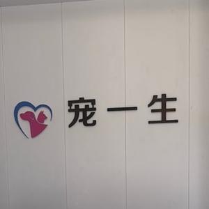 宠一生宠物医疗中心头像