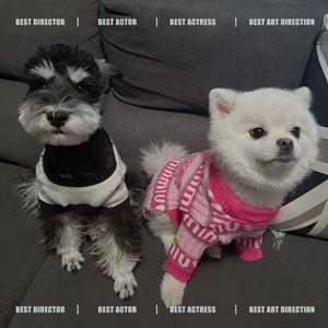 茶宝and奥利奥头像