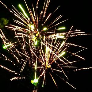 只只陪他（康复版）头像