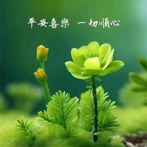 5G功效型透皮给药加盟头像