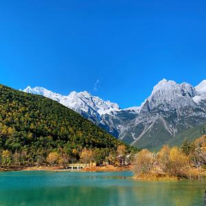 学习Ai 创作头像