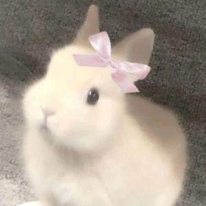 月亮失约了头像