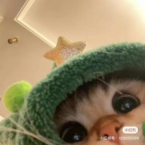 早起大王🍄头像