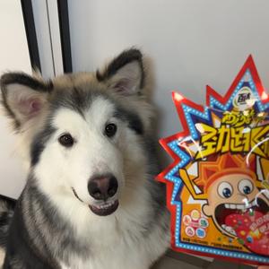 又又又又又拉了头像