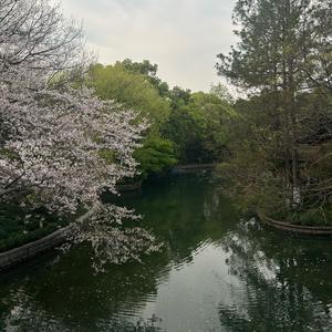 疯狂的太阳🌞（陪诊）头像