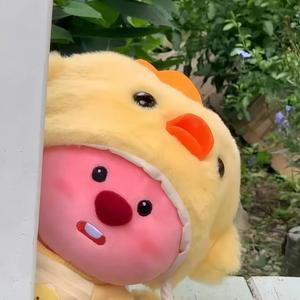 小洲wink头像
