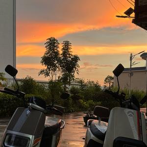 煲点苦瓜汤头像