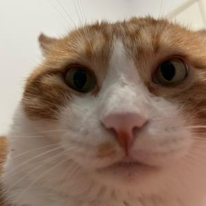 乐乐不再流浪🏠头像