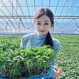 山东蔬菜种子种苗基地·李小妹儿🌶头像