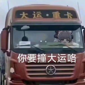 开局一只因头像