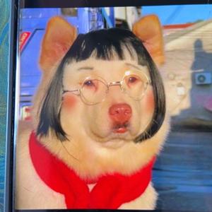 问道橘子皮头像