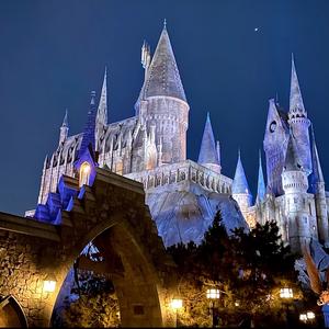 袋儿疯玩环球头像