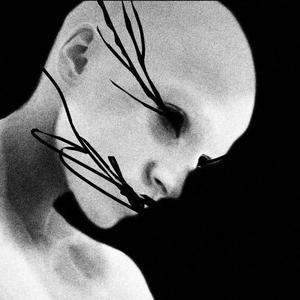 芒果泡泡糖头像