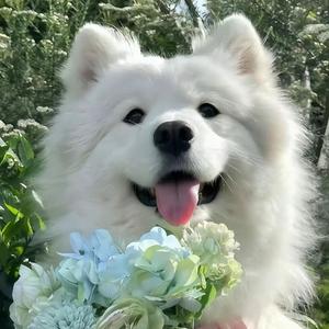 来杯橘子汽水💫头像