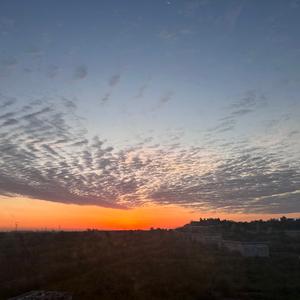 邢小米（邢台首家小米婚车)头像