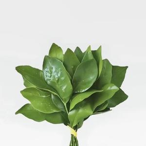 🌈✨🍀幸运🍀✨🌈头像