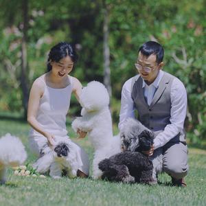 它说｜兰州宠物寄养乐园头像