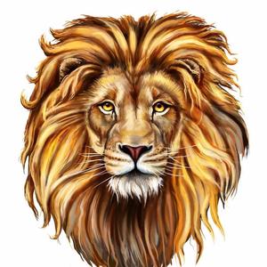 动物-世界🌍头像