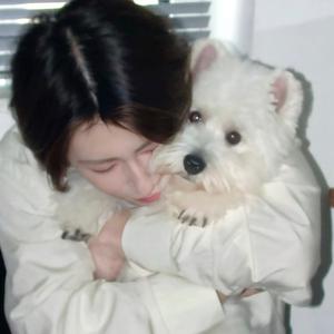 战战的阿鑫头像