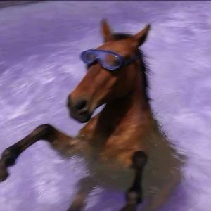 猫来了耶！头像