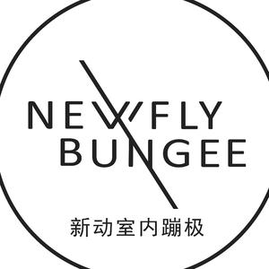 新动室内蹦极 中国总部头像