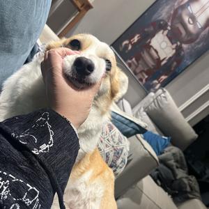 我喂旺仔袋盐头像