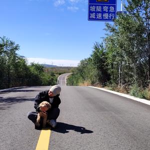 安妮仔花草木头像