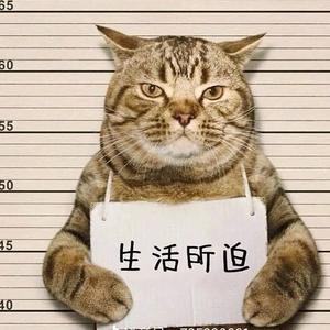 我吃火龙果头像