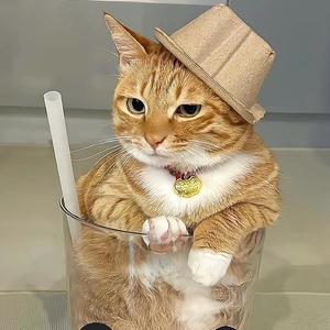 宠它宠物用品头像