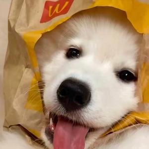 花 泽类头像