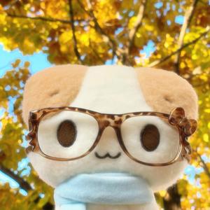 加州栗子树🌰头像