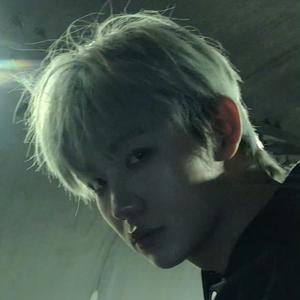 蓁喜七粥EL头像